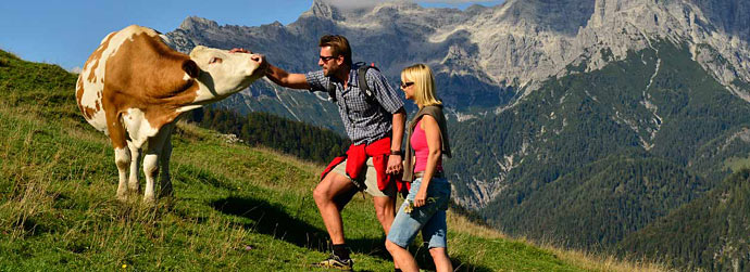 Wanderurlaub in den Kitzbüheler Alpen Wandern in den Alpen, Paar auf der Alm